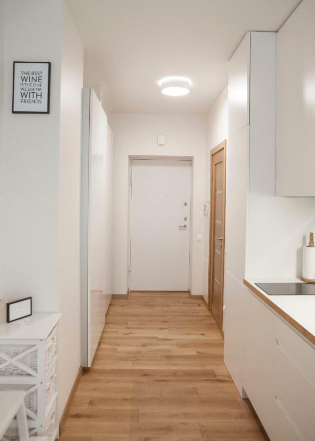 New Scandinavian Style Apartment In Nida Kültér fotó